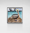 Pelican Magnet